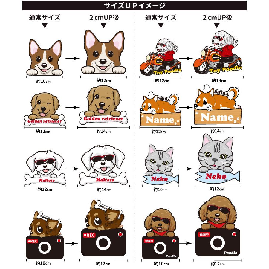 ステッカー サイズアップ チケット 横幅 2cm （ 正方形 長方形 型