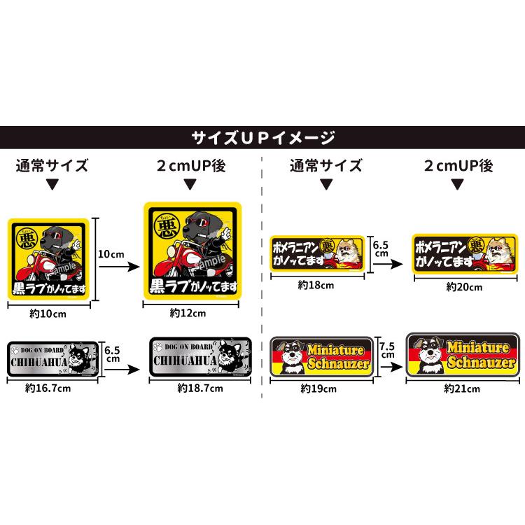 ステッカー サイズアップ チケット 横幅 2cm （ 正方形 長方形 型