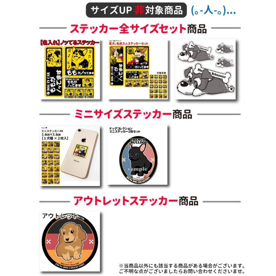 ステッカー サイズアップ チケット 横幅 2cm （ 正方形 長方形 型