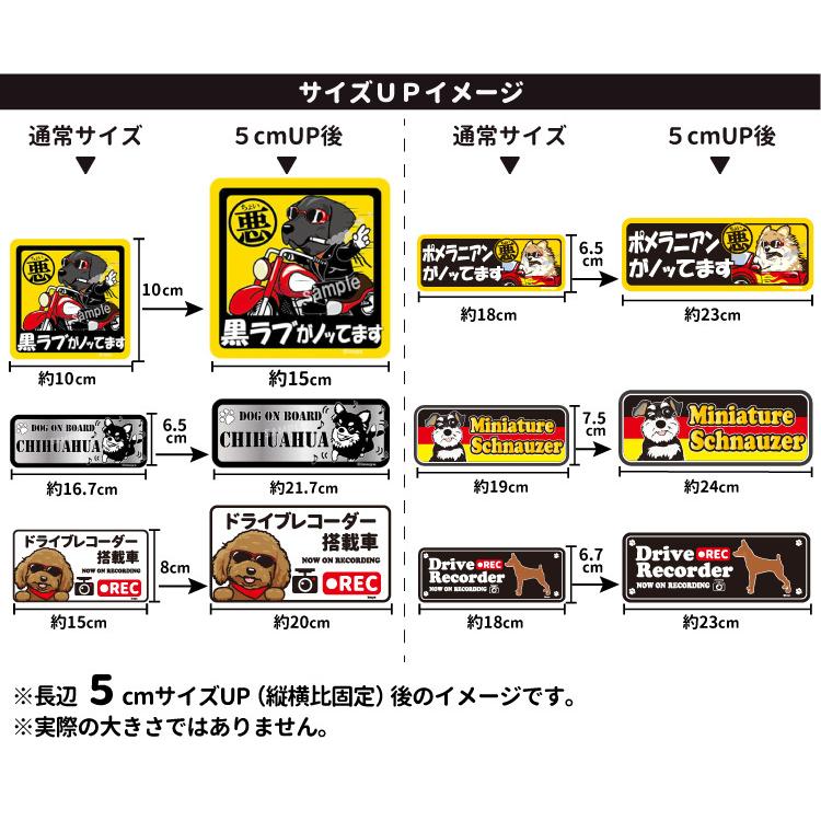 ステッカー サイズアップ チケット 横幅5cm （ 正方形 長方形 型抜き