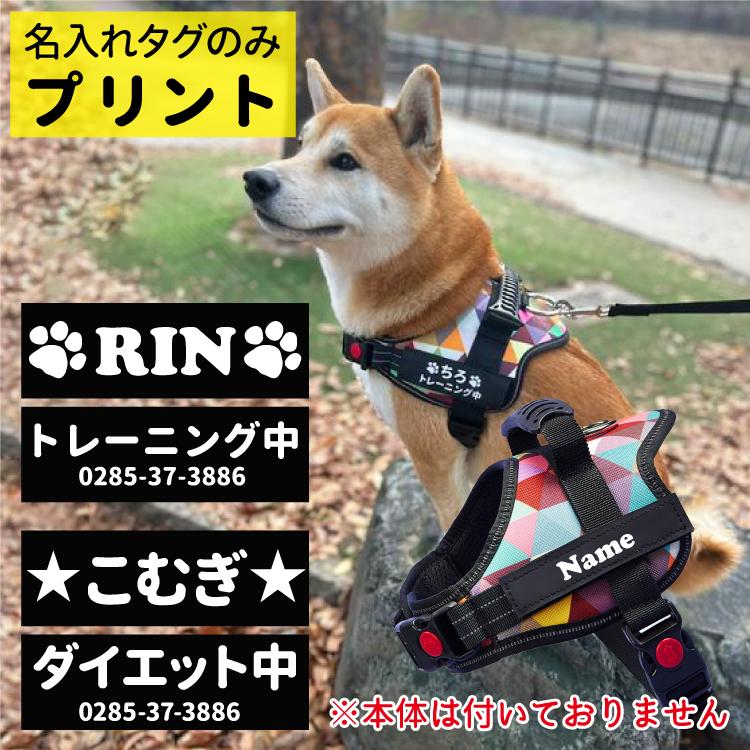 犬 名入れ（ ハーネス ネーム タグ ブラック 予備 2枚1セット