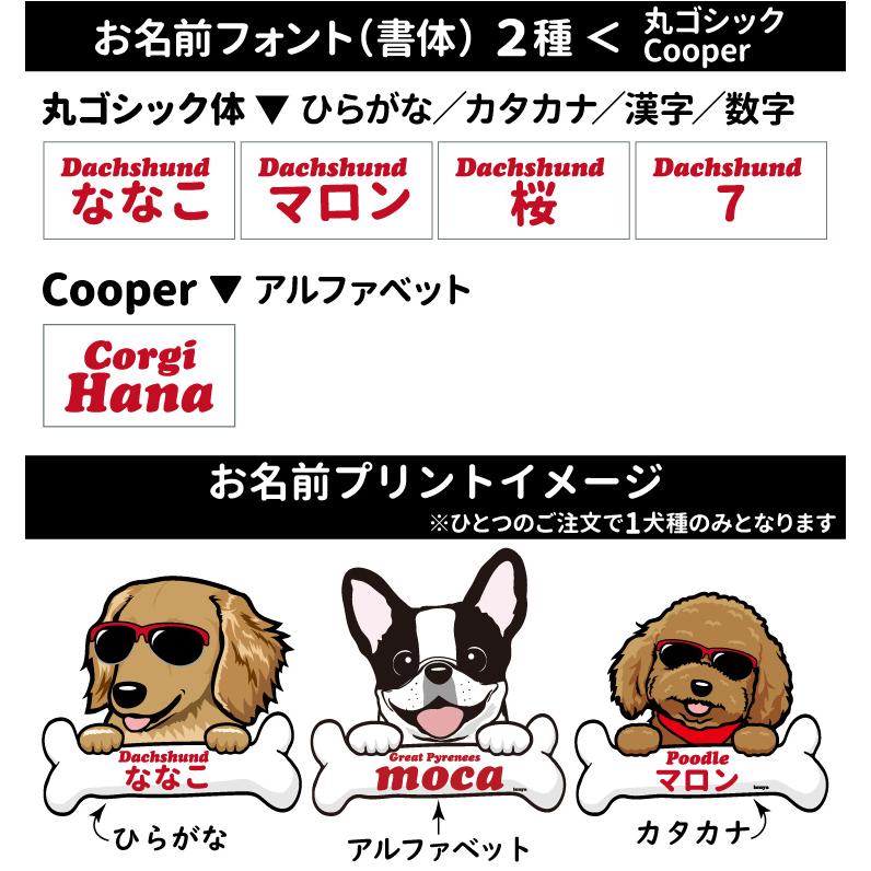 名前入れ デザインプリント ） グラサン FULL COOL専用 2~4号用