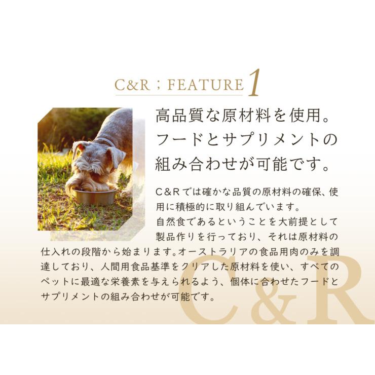 CUPURERA クプレラ ナチュラガード（犬猫用）L（100g）消化酵素 結石 尿管 尿路 膀胱 腎臓 天然【クリックポスト発送】 | CUPURERA | 03
