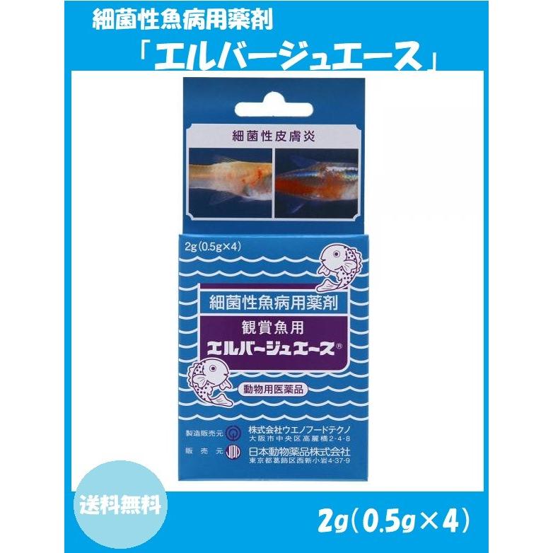 【ニチドウ】 観賞魚用エルバージュエース 0.5g×4 (動物用医薬品) 【配達日時指定不可・クリックポスト発送】｜inuyashan