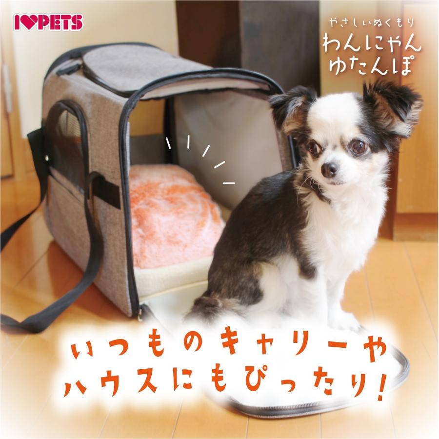 ボンビアルコン 