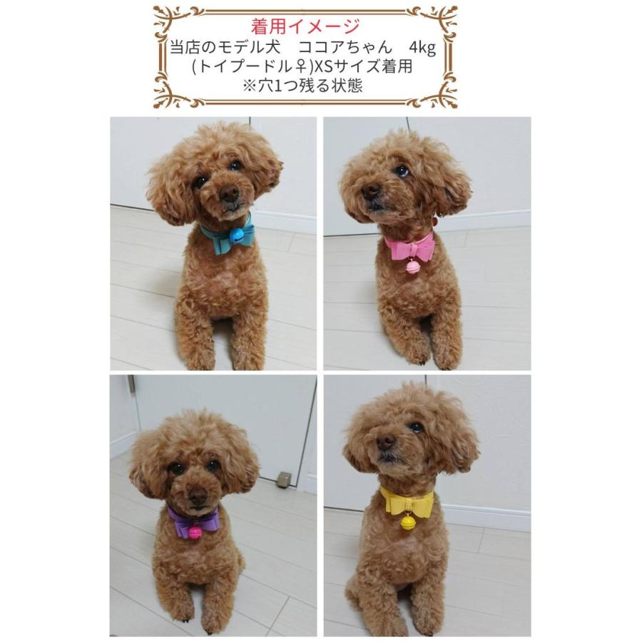 メール便送料無料 可愛いリボン 鈴首輪 リボンステッチ首輪 犬 猫 犬 猫 散歩 春夏秋冬 レザーカラー スウェード 猫用 小型犬 中型犬 大型犬 Go S003 C ペット雑貨pet Cueb 通販 Yahoo ショッピング