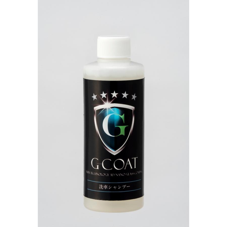 洗車シャンプー G-COAT 下地処理 脱脂 ワックス 洗車 : INVENTER