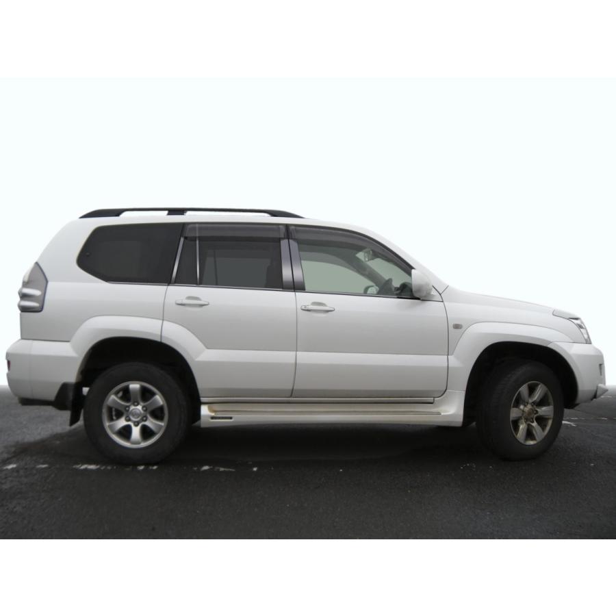 TRJ120ランクルプラド ステンレス ドアモール 送料無料 鏡面  