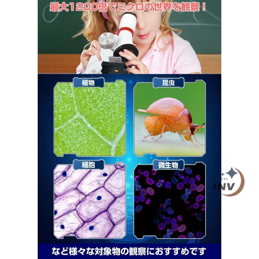 顕微鏡 スマホ 子供 1200倍 子供用 撮影 観察 初心者 led ライト 乾電池式 研究 生物 植物 昆虫 微生物 細胞 科学 小学生 中学生 高校生 子供の日 プレゼント｜invstore｜08