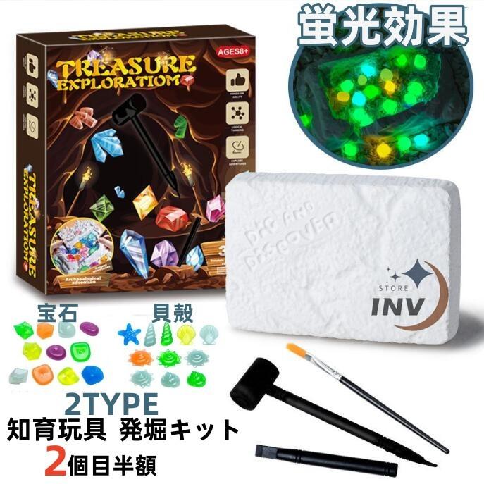 2個目半額 知育玩具 発掘セット 発掘キット 実験キット 貝殻 宝石 