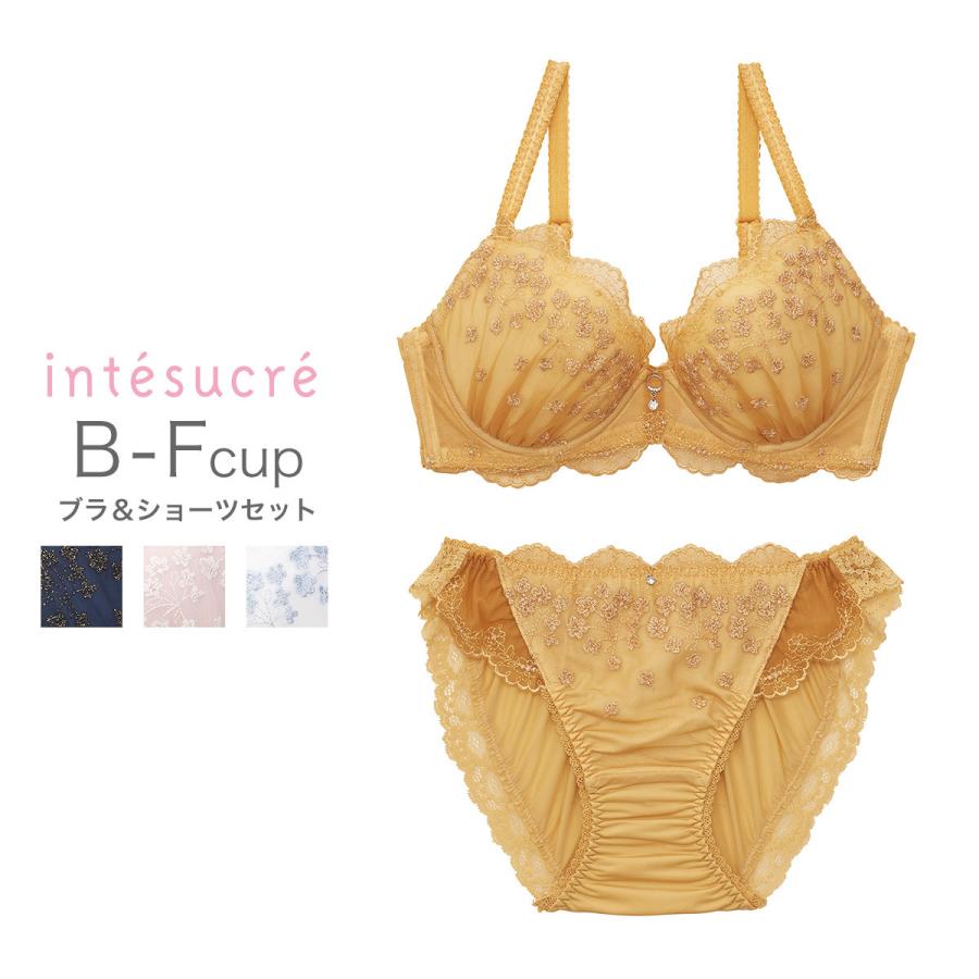 アンテシュクレ Intesucre Narue Intesucreコラボ ブラセット ふっくらデコルテメイク 全4色 B F 65 75 Ibt306 アンテシュクレ インナーワールド 通販 Paypayモール