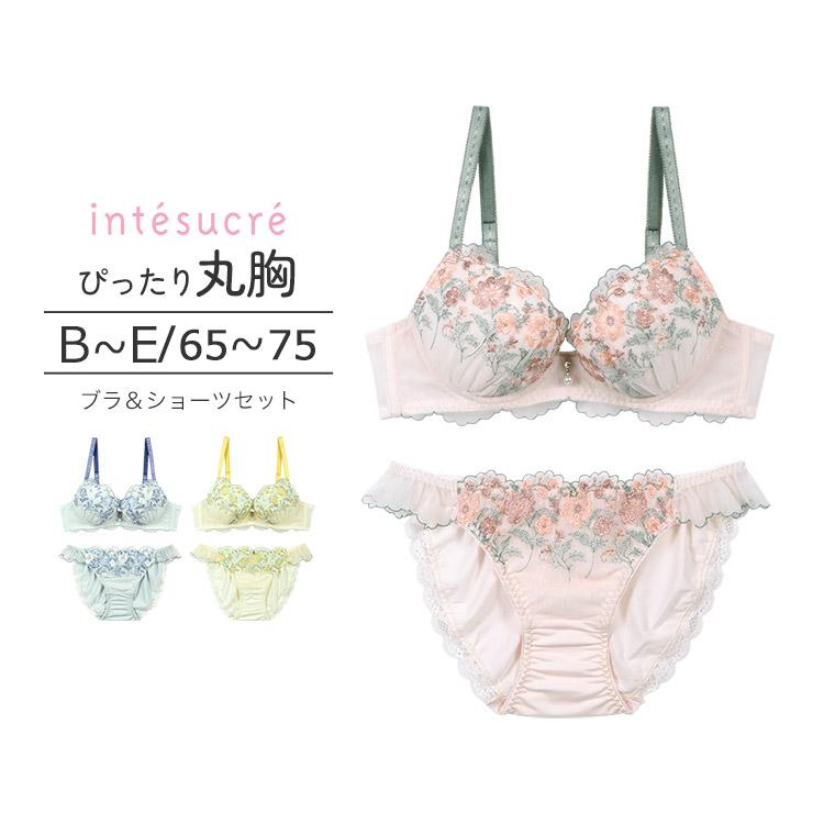 intesucre（アンテシュクレ） 毎日フィットブラ ぴったり丸胸タイプ