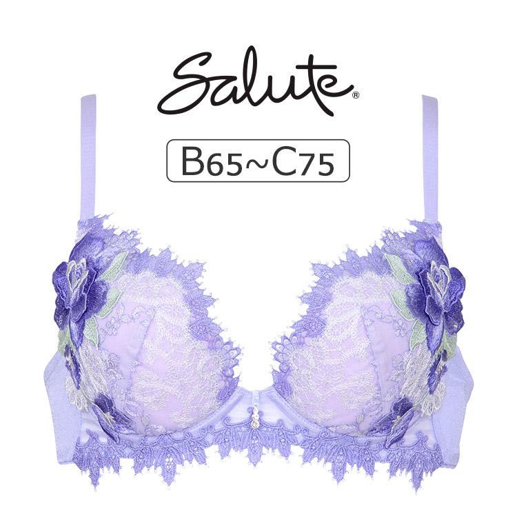 サルート ワコール 84G ブラジャー単品 VIVA LINE BCカップ アンダー65 