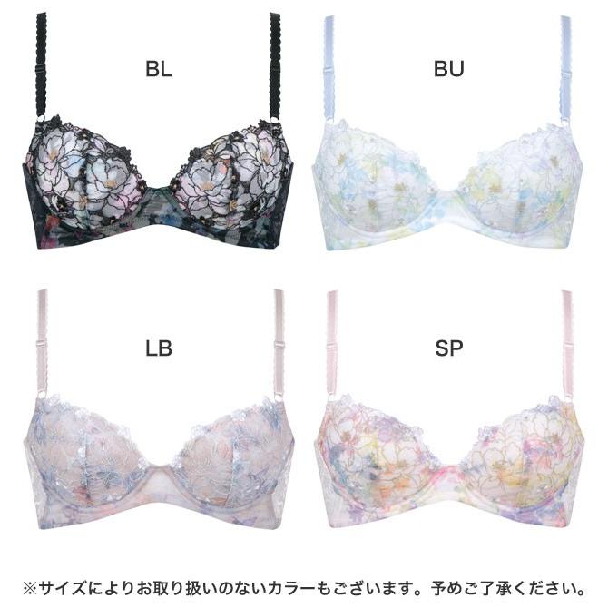 検出可能 獣 稚魚 Wing ブラジャー 通販 Edgi Usa Org