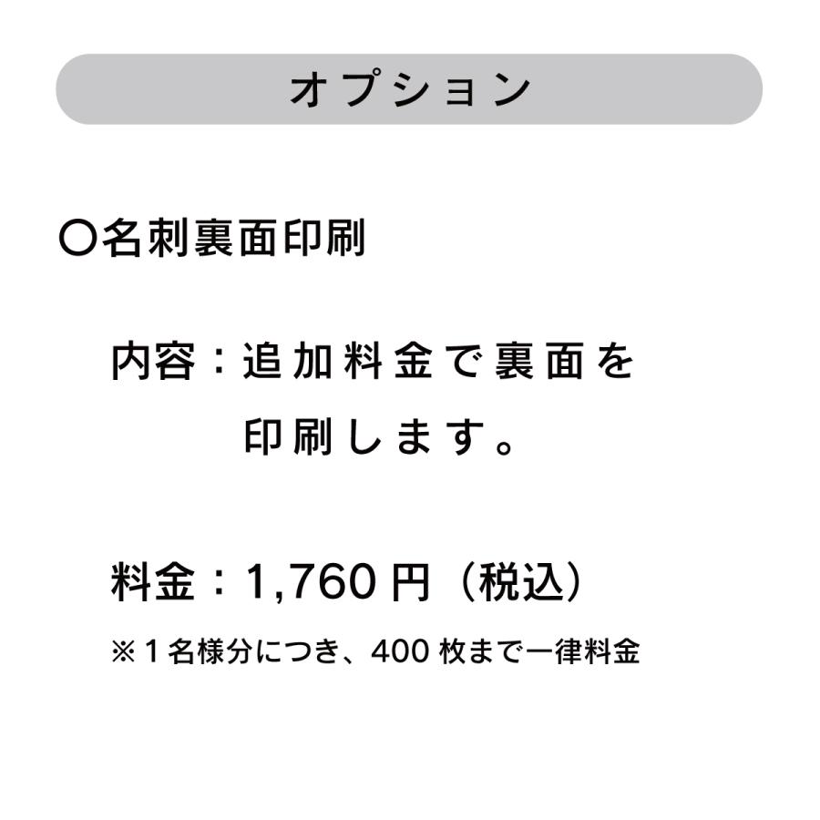 カズプリ名刺 印刷 作成 100枚 シンプル ビジネス 送料無料 激安 Y 5
