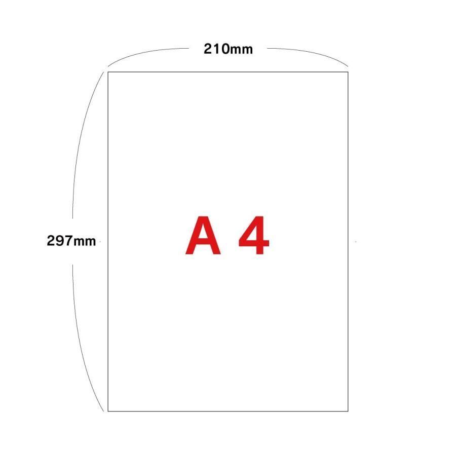 12名さま　B4サイズ　ハガキコピー11枚　A4コピー3枚　10/21まで 12名さま B4サイズ ハガキコピー11枚 A4コピー3枚 10/21まで