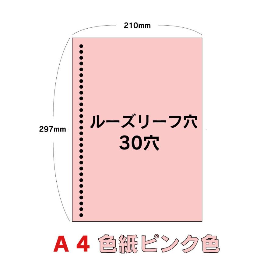 IoPRINT ルーズリーフ A4 カラー 30穴 選べる3色 50枚から : 愛を