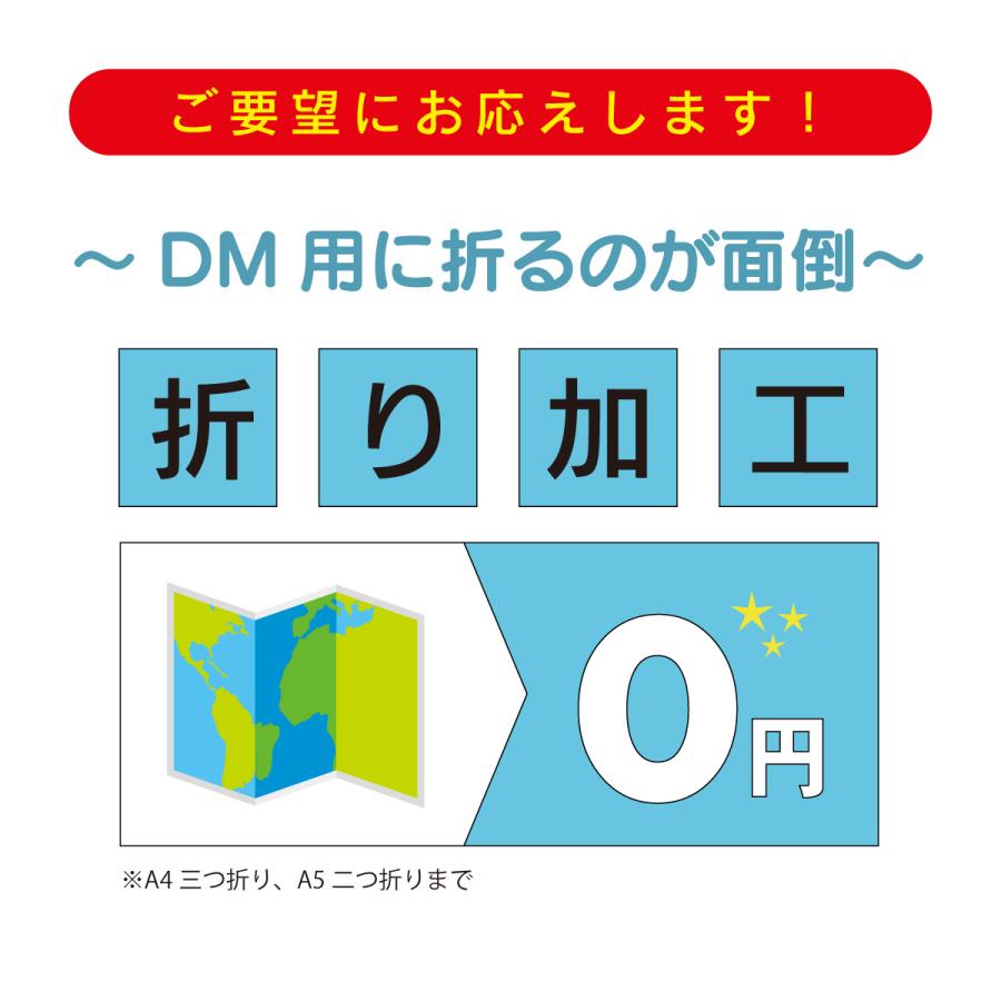 高品質チラシ印刷 A4 両面印刷 チラシ チラシ作成 A3 片面印刷