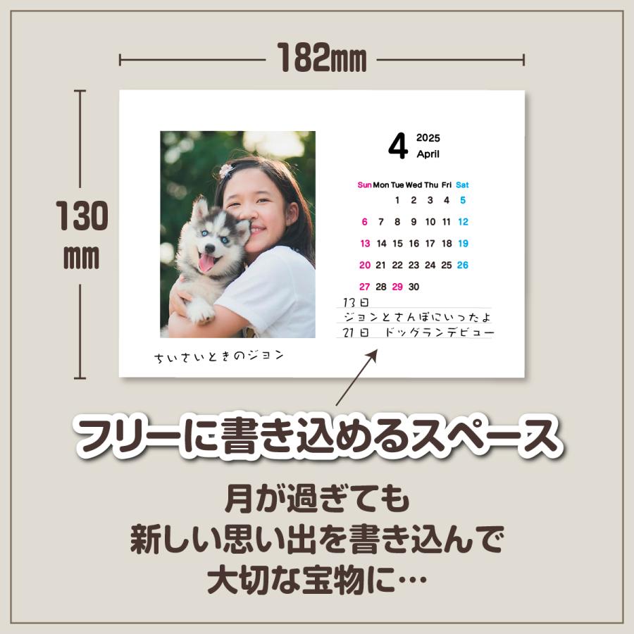 東山動植物園 2025年カレンダー 動物の誕生日・絶滅危惧種が分かる！「アニマーサリーカレンダー」（卓上タイプ） | 東山動植物園の公式グッズを探す, カレンダー | おもむきストア 2025卓上カレンダー 動物の赤ちゃん