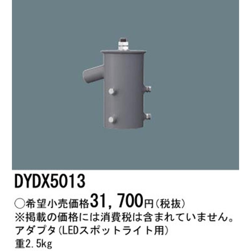 Panasonic（パナソニック） 【即納・在庫品】DYDX5013 スポットライト