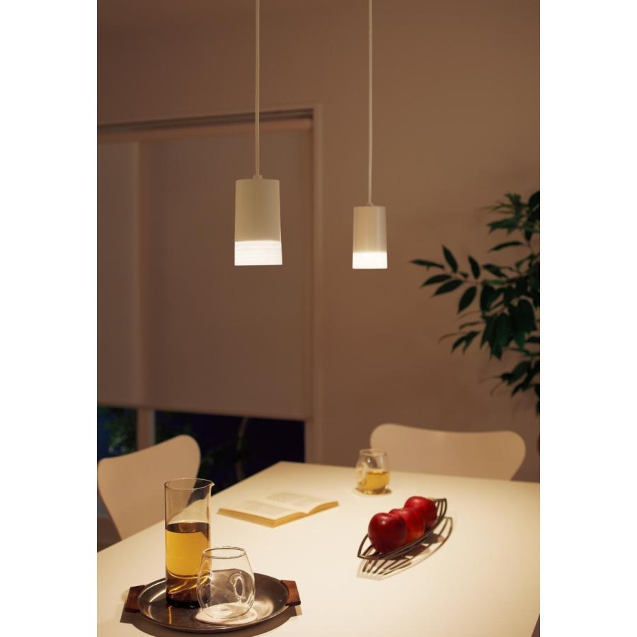 Panasonic LEDペンダントライト 天井吊下型 電球色 拡散 直付 60 Panasonic LEDペンダントライト 天井吊下型 電球色 拡散 直付 60