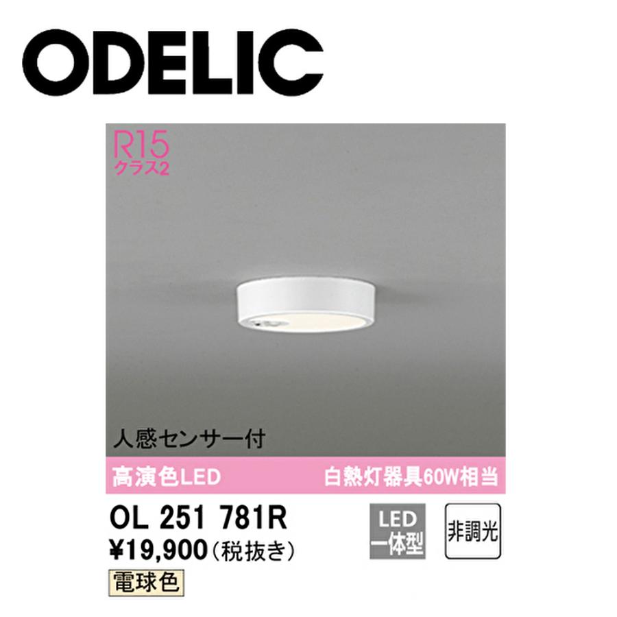 ODELIC（オーデリック） 【即納・在庫品】小型 シーリングライト