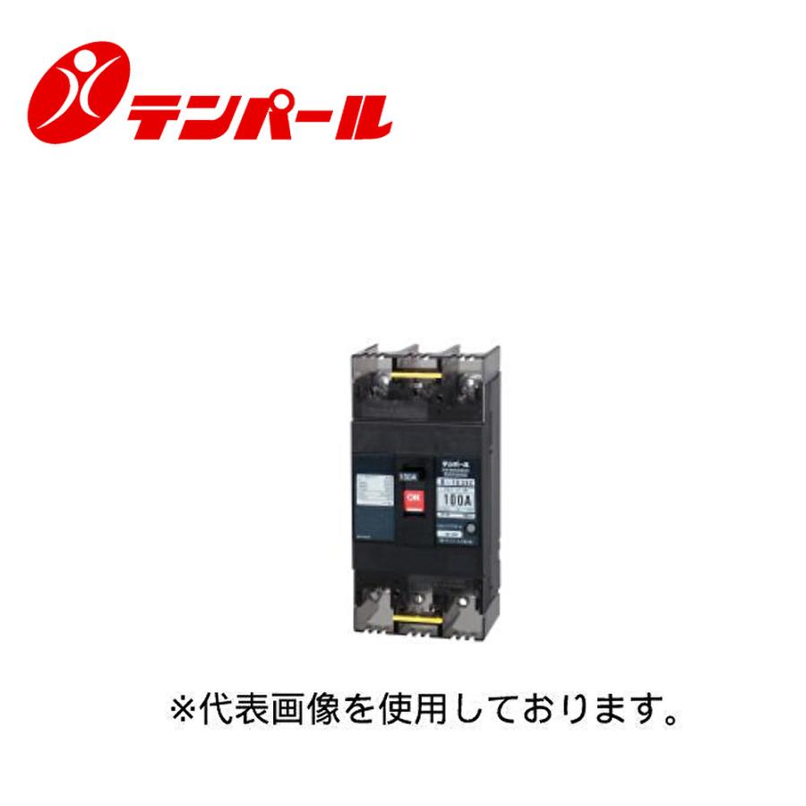 テンパール工業 配線用遮断器 B-103EC 75A 【公式通販】