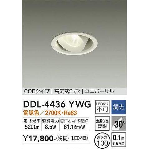 大光電機 【即納・在庫品】LEDダウンライト 100φ ユニバーサル 電球色 