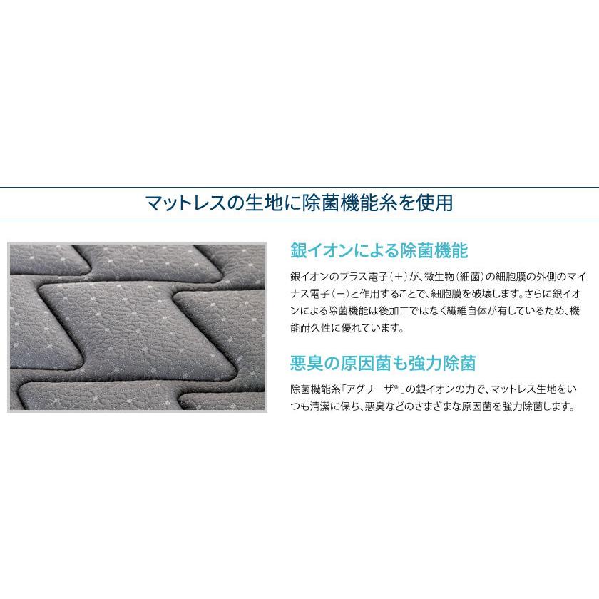 フランスベッド 高密度連続スプリングマットレス ダブル 除菌機能糸 アグリーザ使用 LT-5000α 国産 日本製 francebed 【受注生産品】の画像