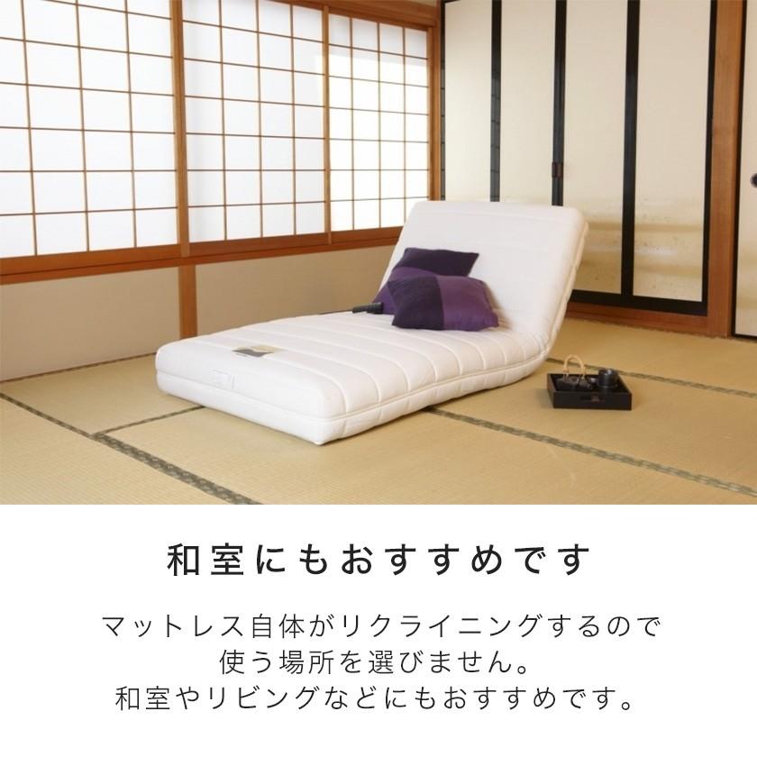 フランスベッド リクライニングベッド 電動マットレス シングル
