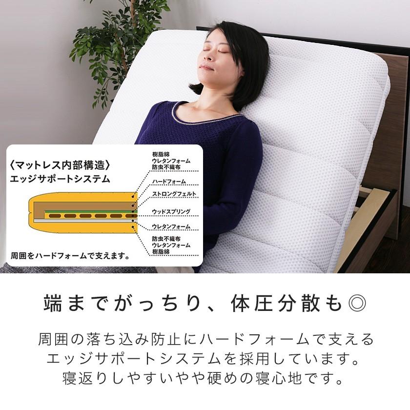 フランスベッド リクライニングベッド 電動マットレス シングル フランスベッド リクライニングベッド 電動マットレス シングル