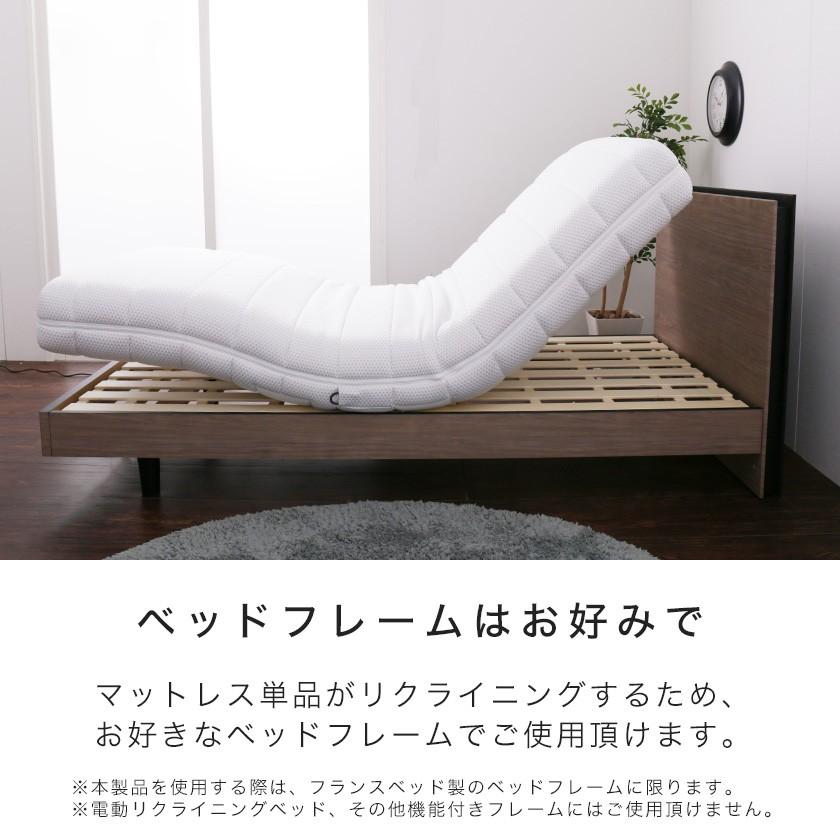 フランスベッド リクライニングベッド 電動マットレス シングル フランスベッド リクライニングベッド 電動マットレス シングル