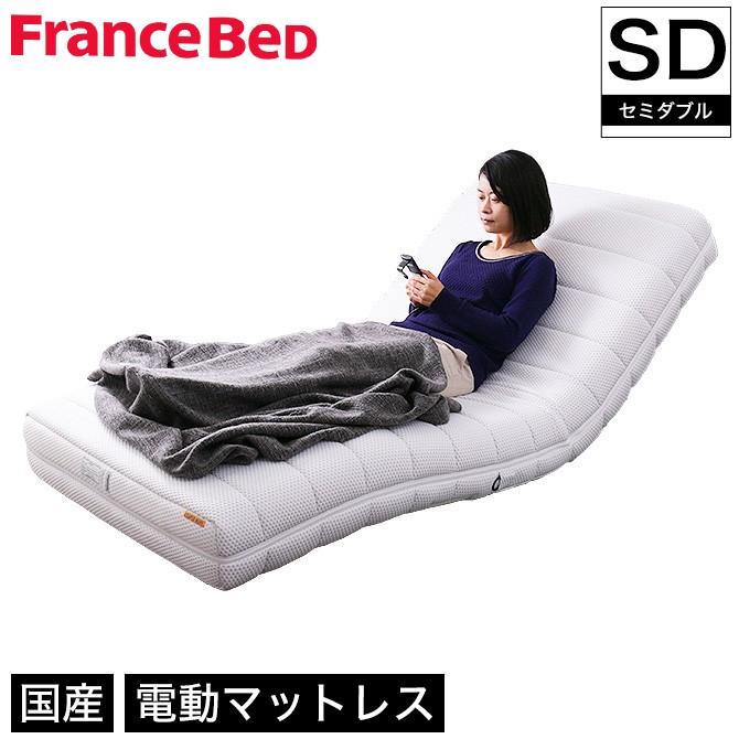 フランスベッド リクライニングベッド 電動マットレス フランスベッド リクライニングベッド 電動マットレス