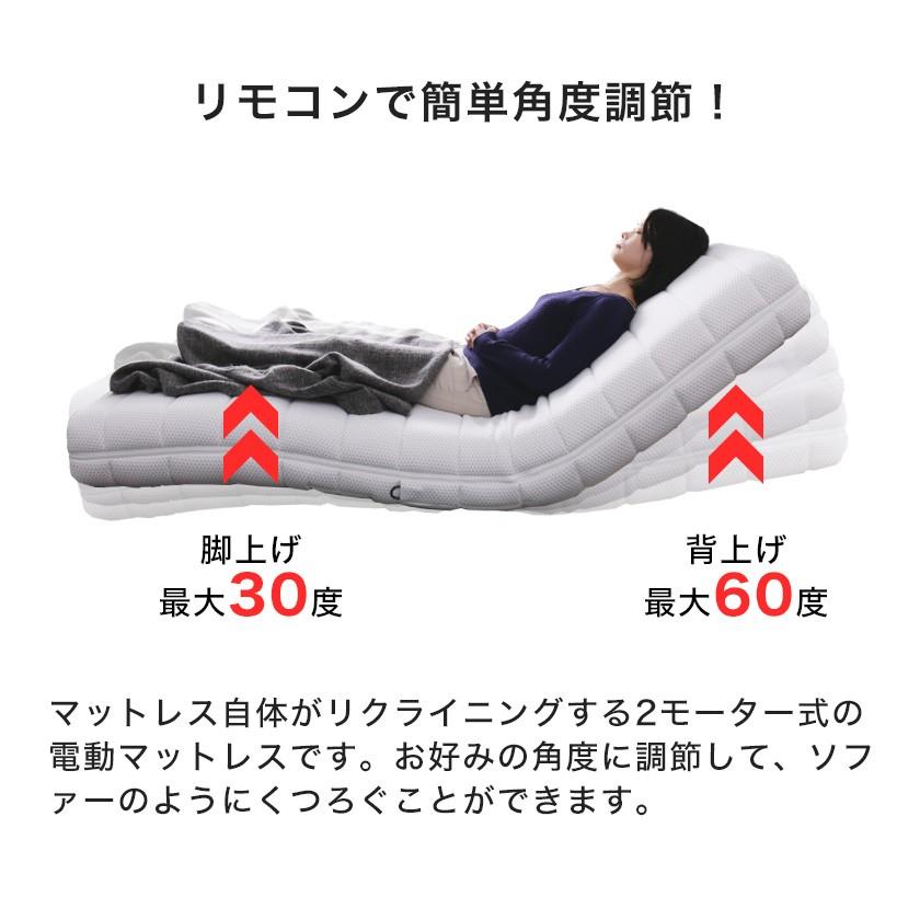 フランスベッド リクライニングベッド 電動マットレス セミダブル RP 