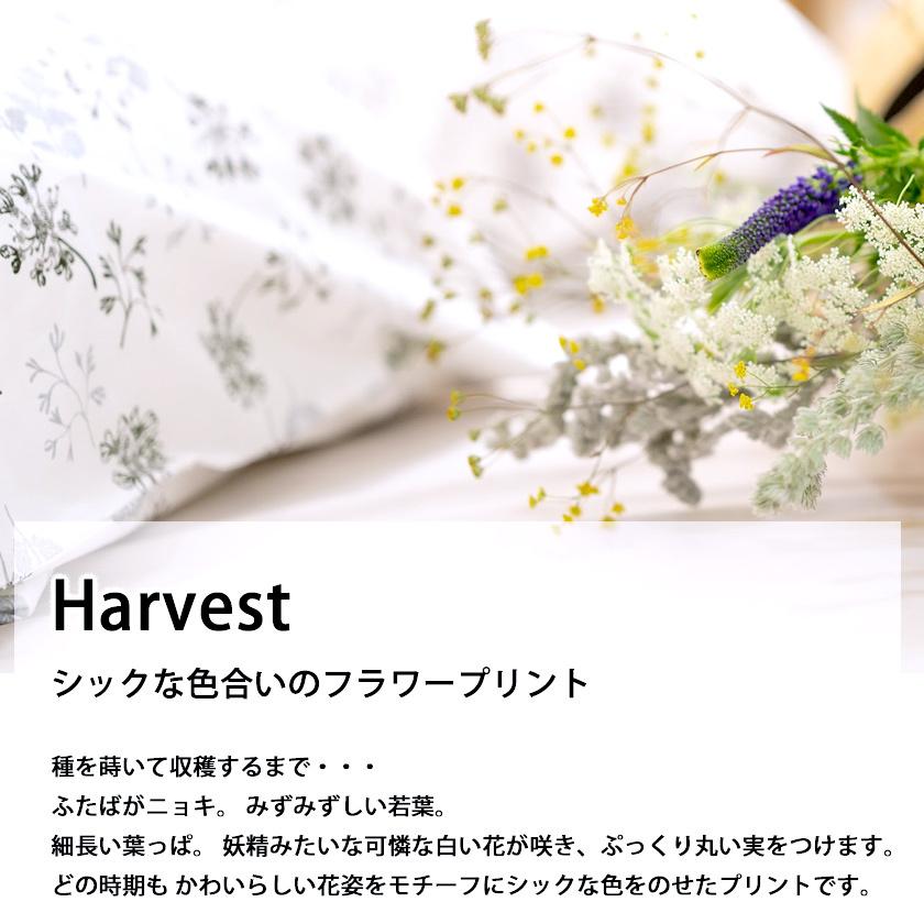 枕カバーL ハーベストーHarvest ピローケースL 50×70cm用 コットン100 