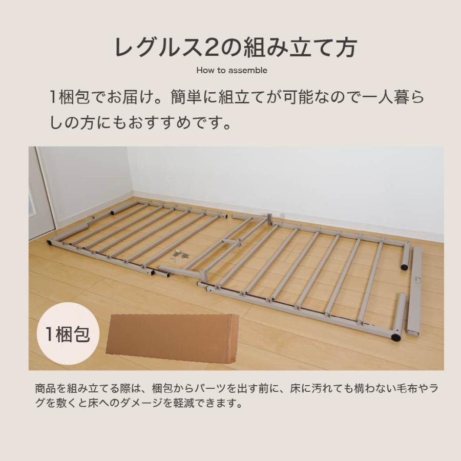 ネルコンシェルジュ REGLS2 レグルス2 シングル フレームのみ アイアン
