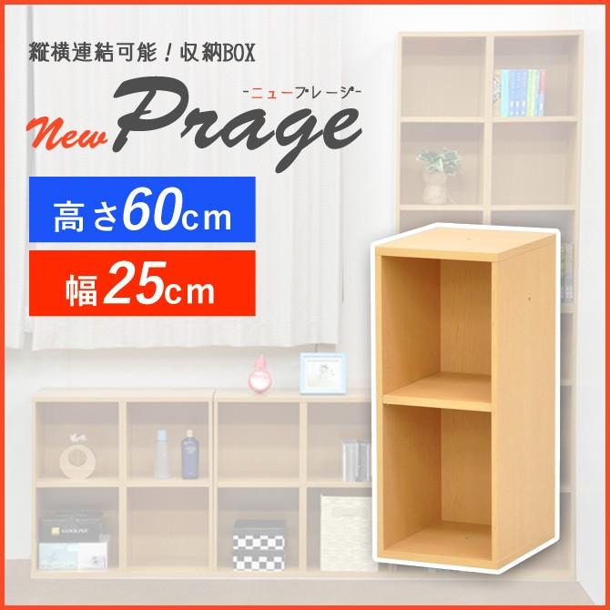 オープンラック カラーボックス 2段 幅25cm 高さ60cm Newプレージ Npg 6025 シェルフ スリム 収納ラック Dvd収納 本棚 小物 収納 オープンシェルフ 1601 家具のインテリアオフィスワン 通販 Yahoo ショッピング