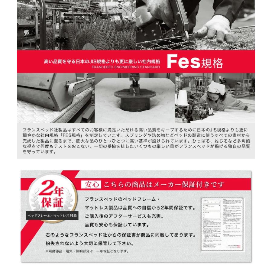 フランスベッド（FRANCEBED） マットレスのみ セミシングル 日本製