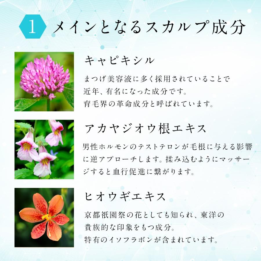 AGAスキンクリニック監修 Balumo（バルモ）Mシャンプー&トリートメント ノンシリコン アミノ酸 美髪 ハリコシ  頭皮ケア フケ かゆみ  抜け毛 美髪 AGA |  | 07