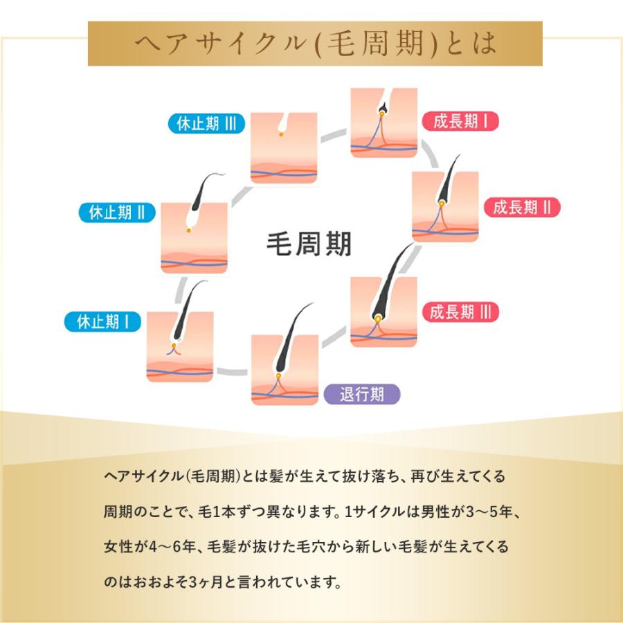 Balumo バルモFシャンプー&トリートメント メンズ レディース 医薬部外