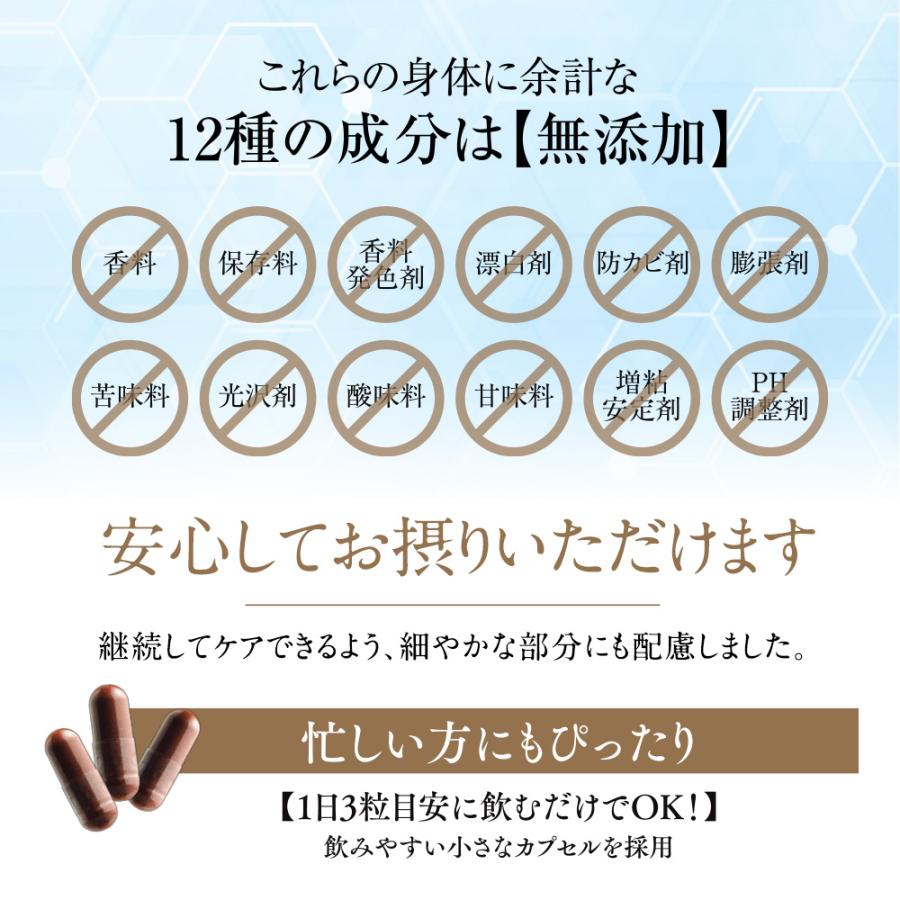 公式】 Balumo バルモ TSUBAKI ツバキ 1袋 90粒入り （約1ヶ月分） AGA