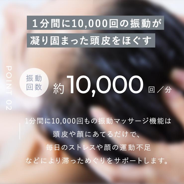 美顔器 電気ブラシ / EMS リフトケア 頭皮 頭筋 スカルプケア 美顔器 電気ブラシ / EMS リフトケア 頭皮 頭筋 スカルプケア