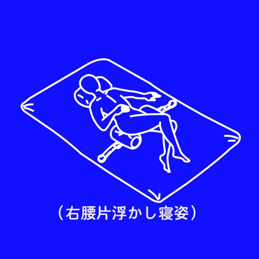 けんちゃん式腰枕 腰痛 床ずれ 介護 要介護 寝疲れ 腰枕 枕 抱き枕 起床 寝姿 姿勢保持 体位保持 体位変換 母の日 父の日 敬老の日 腰痛対策 |  | 15