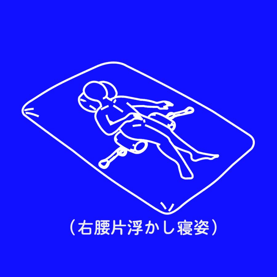 けんちゃん式腰枕 腰痛 床ずれ 介護 要介護 寝疲れ 腰枕 枕 抱き枕 起床 寝姿 姿勢保持 体位保持 体位変換 母の日 父の日 敬老の日 腰痛対策 |  | 16