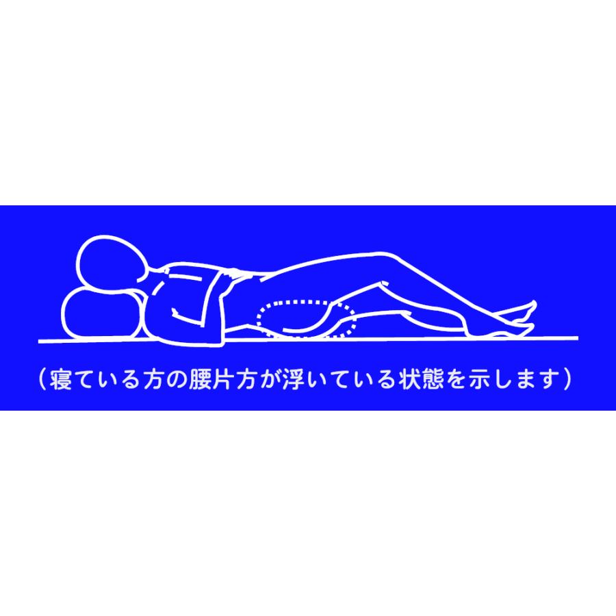 けんちゃん式腰枕Ａタイプ 腰痛 床ずれ 介護 要介護 寝疲れ 腰枕 枕 抱き枕 起床 寝姿 姿勢保持 体位保持 体位変換 母の日 父の日 敬老の日 腰痛対策 |  | 20