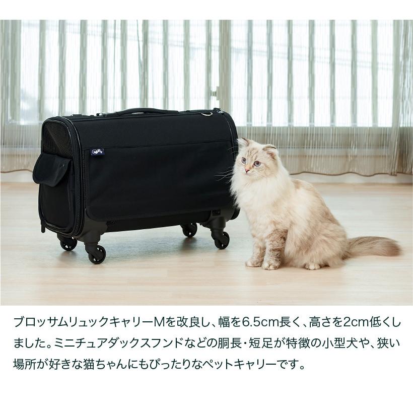 Oft ブロッサムリュックキャリー ミニチュアダックス用 ペットキャリー バッグ リュック ケース カート 犬 猫 おすすめ Oft Store Yahoo 店 通販 Yahoo ショッピング