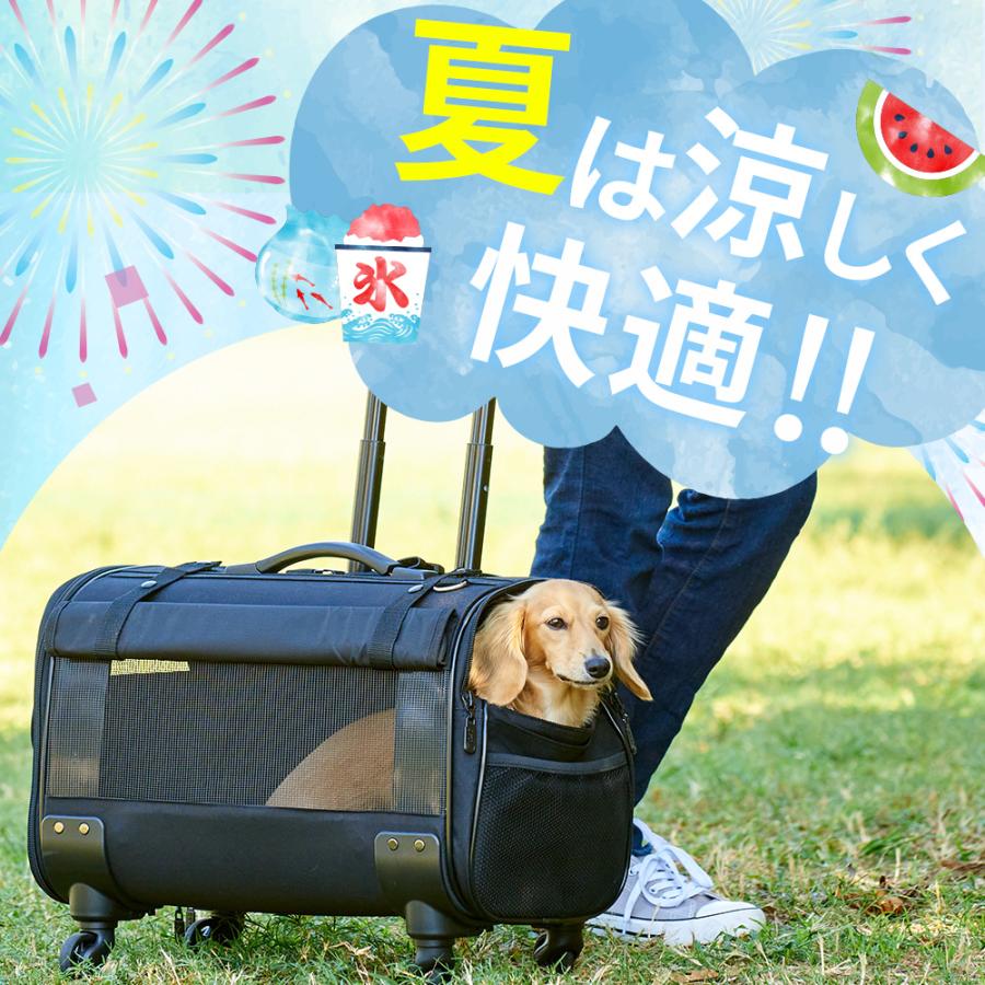 OFT】4way ブロッサムリュックキャリー ペット 犬 猫