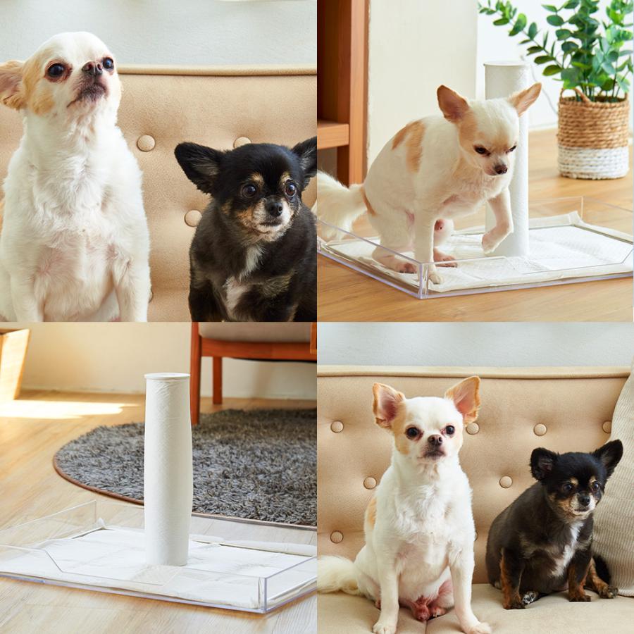 犬用トレーニングハンドル付きポールセット 71CHVcvdo5L._UF350,350_QL50_.jpg