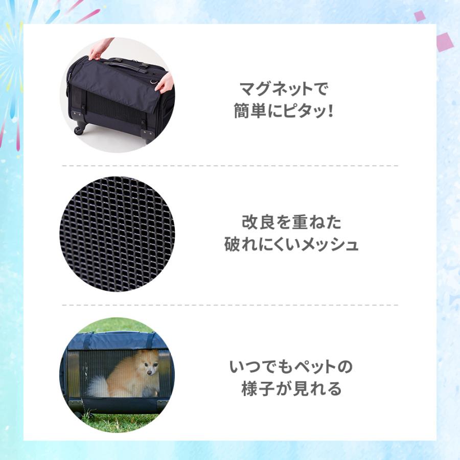 OFT (今月のピックアップセール)[ペットキャリー キャリーバッグ NEW L