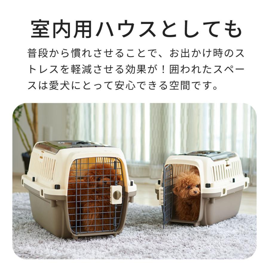 (特別セール中) [ペットケンネル ファーストクラス トップオープンクリア L60T] 犬 イヌ いぬ ペットクレート 猫 ねこ ネコ 上から | OFT | 05